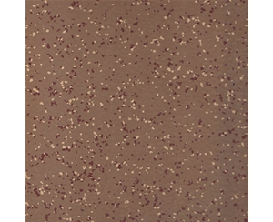 錘擊紋撒花FC8112